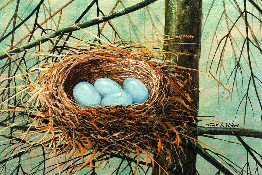 900x603 Blue Eggs In Nest Painting By Frank Wilson - Nest Painting