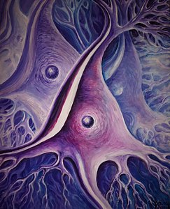 243x300 Pyramidal Neurons Painting By Chirila Corina - Neuron Painting
