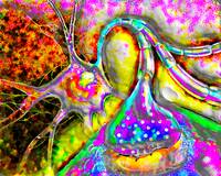 200x160 Stunning Neurons Artwork For Sale On Fine Art Prints - Neuron Painting