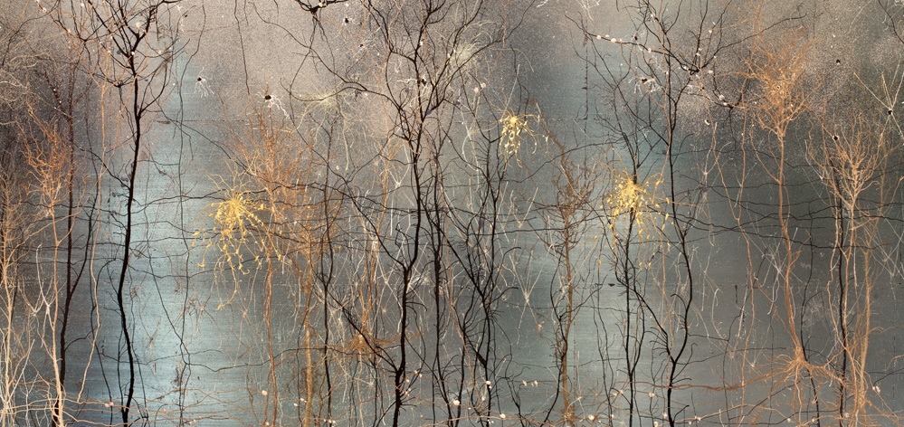 999x472 Substrate Neutrality Neuron Painting - Neuron Painting
