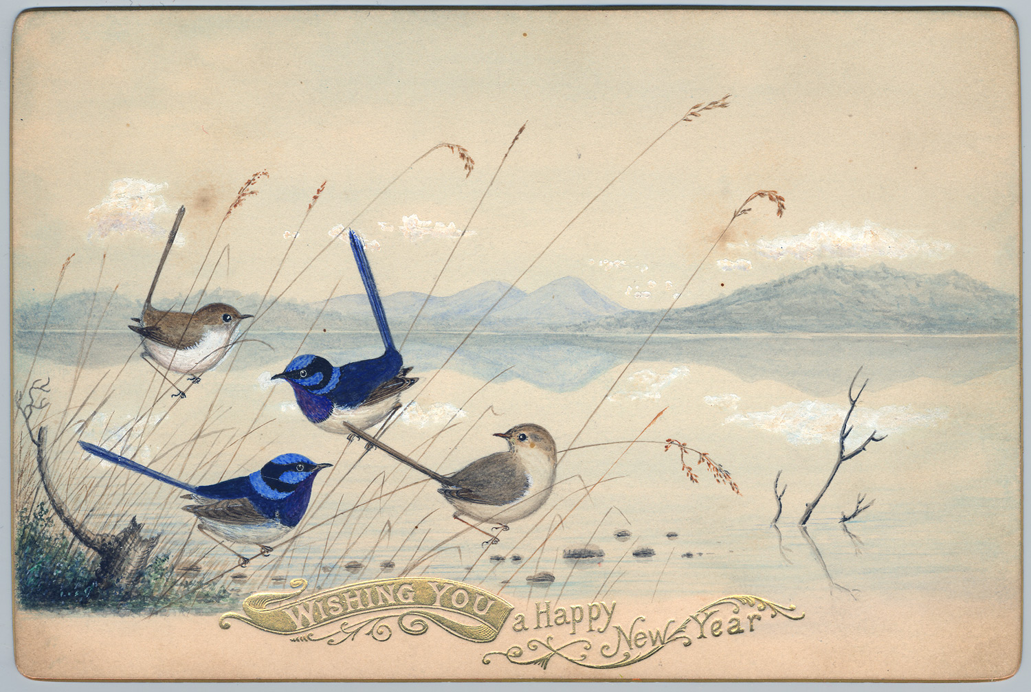 1500x1007 Bird Painting Of Blue Wrens On A New Year's Greeting Card By - New Year Painting