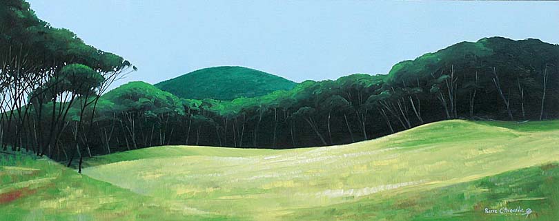 810x321 New Zealand Landscape Painting Of Tea Tree Or Manuka Hillside. - New Zealand Painting