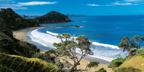 460x230 Unknown Artist New Zealand Sea Painting Anysize 50% Off - New Zealand Painting