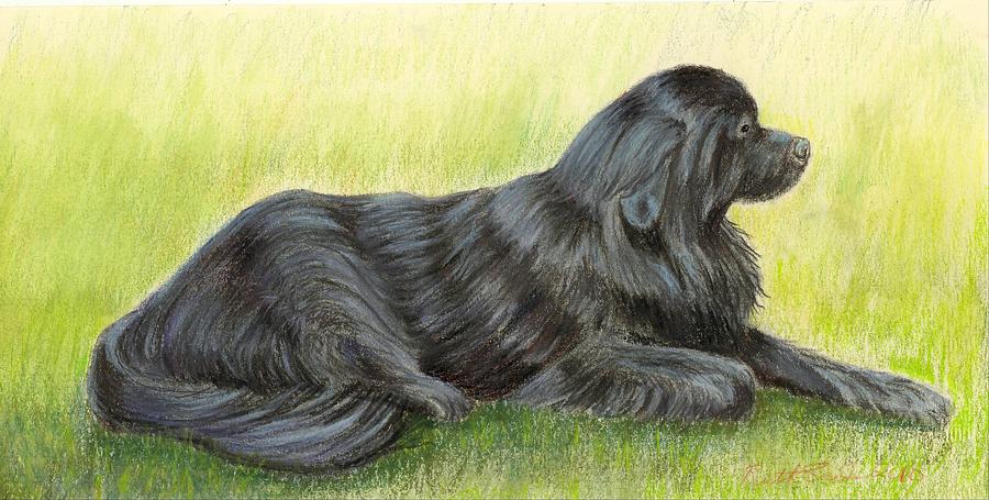 900x455 Newfoundland Dog Painting By Ruth Seal - Newfoundland Dog Painting