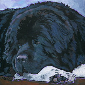 300x300 Newfoundland Dog Paintings Pixels - Newfoundland Dog Painting