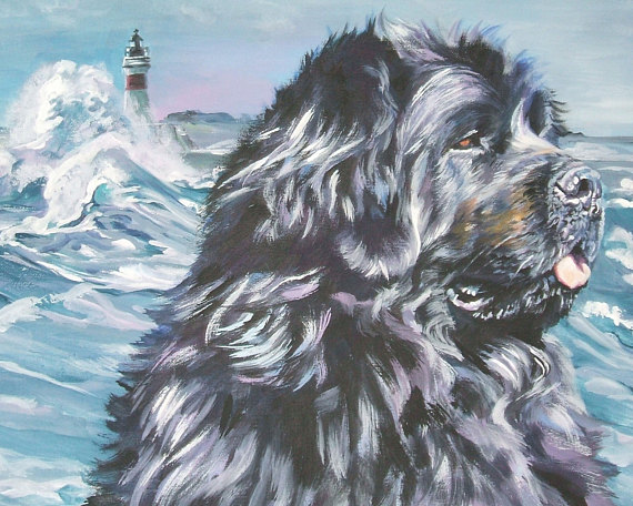 570x456 Newfoundland Dog Art Canvas Print Of La Shepard Painting 8x10 - Newfoundland Dog Painting