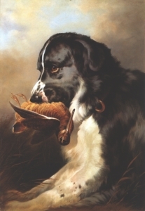 207x300 Newfoundlands Were Not Always Giants Natural History - Newfoundland Dog Painting