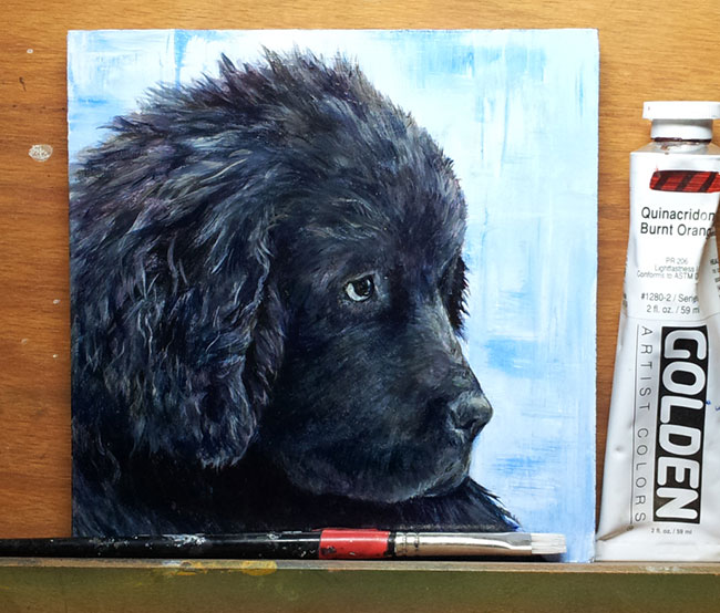 650x554 Paintings Wyndianart - Newfoundland Dog Painting