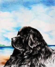 236x288 Black Newfoundland Dog Miniature Acrylic Painting By By Faroutart - Newfoundland Dog Painting