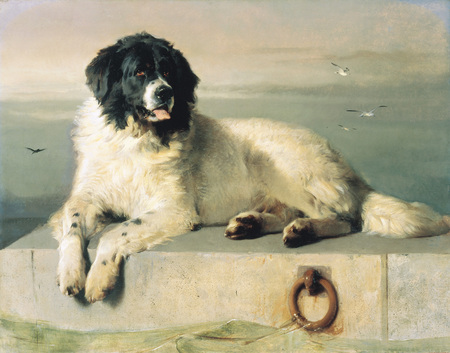 450x353 Sir Edwin Landseer's Painting Of A Landseer Newfoundland - Newfoundland Dog Painting