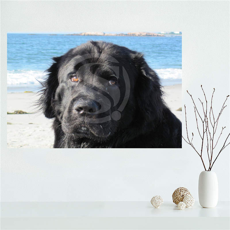 800x800 Yjw523 L58 Custom Newfoundland Dog Canvas Painting Wall Silk - Newfoundland Dog Painting