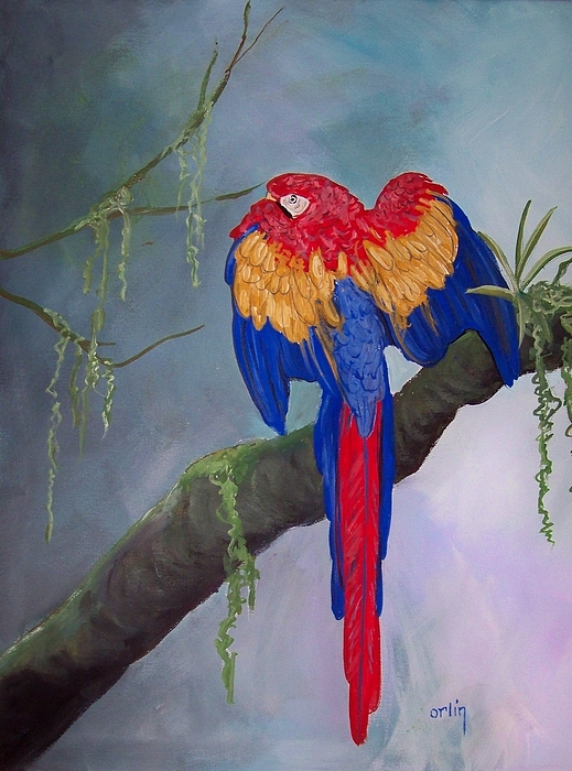 519x700 Scarlet Macaw Parrot Bird Nice Original Oil Painting Painting By - Nice Painting
