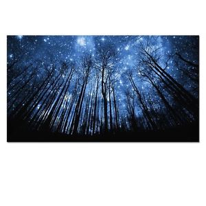 300x300 Framed Canvas Wall Art Starry Night Forest Pictures Home Decor - Night Forest Painting