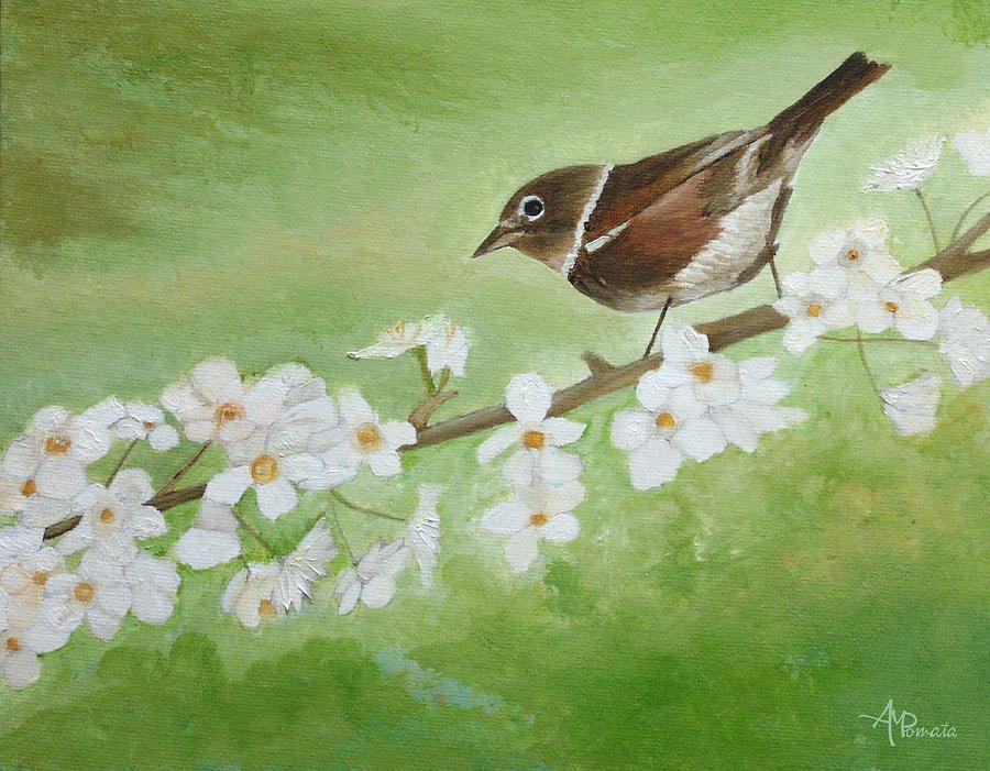 900x701 Nightingale Among Almond Flowers Painting By Angeles M Pomata - Nightingale Painting