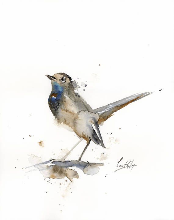 570x719 Nightingale Bird Original Watercolor Painting Watercolour - Nightingale Painting