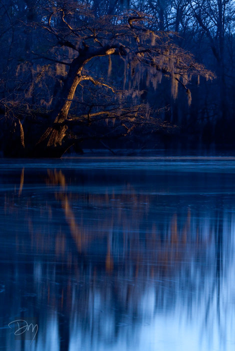 470x700 David Moynahan Photography Nightscape - Nightscape Painting