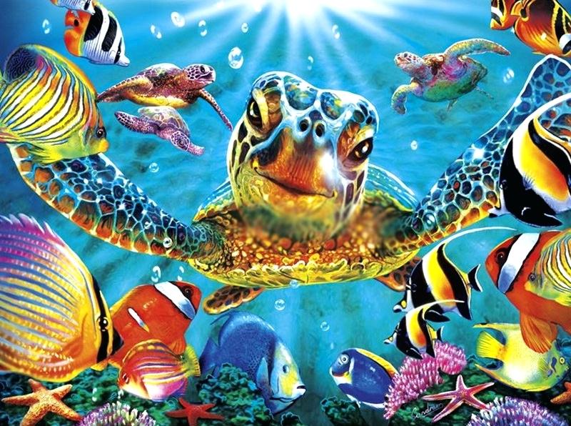 800x596 Turtle Paintings Quick View Ninja Turtle Painting Page - Ninja Turtle Painting