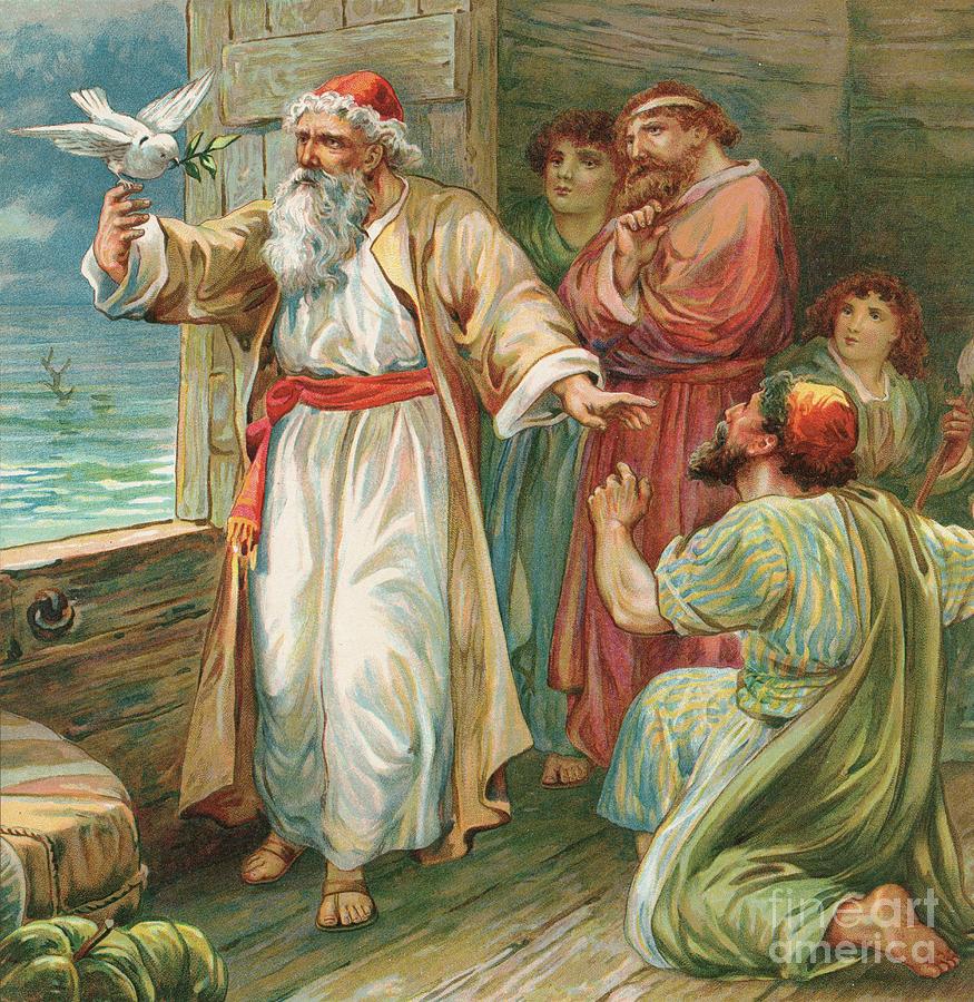 875x900 Noah And The Dove Painting By Robert Ambrose Dudley - Noah Painting