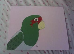 315x228 Pretty Bird Paintings~sws Avian Avenue Parrot Forum - Normal Painting