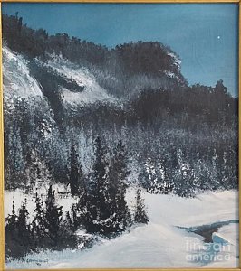 266x300 North Star Paintings - North Star Painting