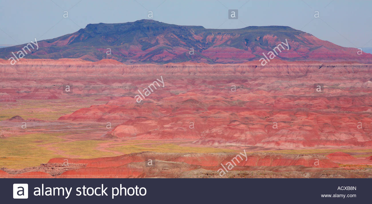1300x713 Painted Desert Petrified Forest National Park Northern Arizona - Northern Arizona Painting