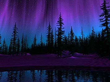 355x266 The Northern Lights Oil Painting On Canvas Modern - Northern Lights Painting