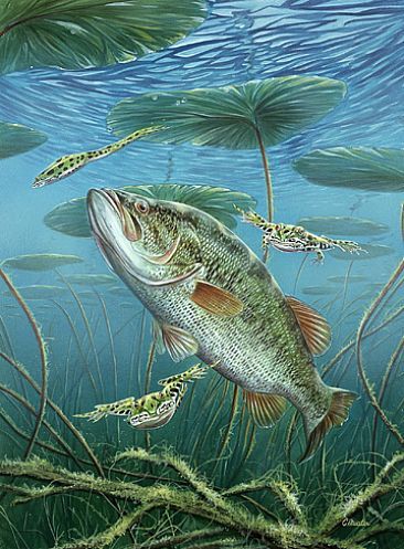 Northern Pike Painting at PaintingValley.com | Explore collection of ...