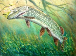 250x183 Northern Pike Paintings - Northern Pike Painting