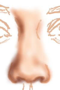 200x300 Painting Faces Nose - Nose Painting