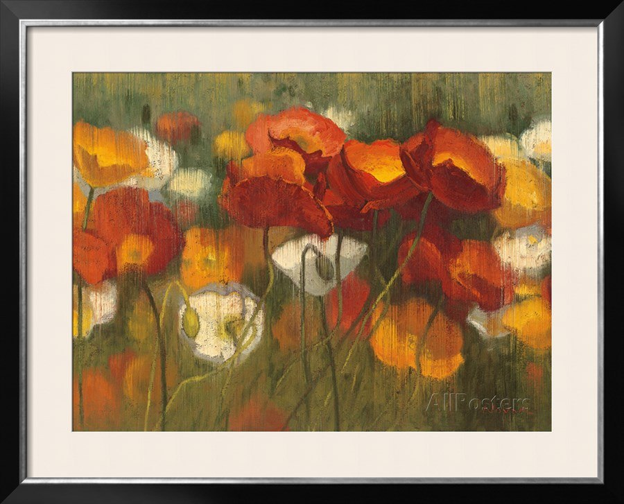 900x727 Hot Sell Famous Oil Painting Flower Meadow Poppies I By Shirley - Novak Painting