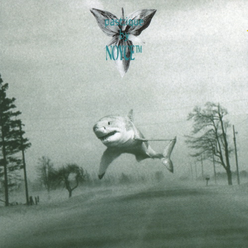 500x500 Noyce Tm - Noyce Painting