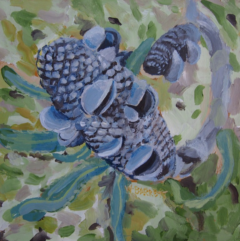 768x770 Wendy Barrett's Paintings And Writings Banksia Nut - Nut Painting
