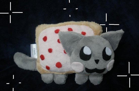 550x363 Nyan Cat Covering The Web In Cute Mental Floss - Nyan Cat Painting