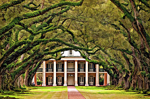 300x197 Oak Alley Plantation Art Fine Art America - Oak Alley Painting