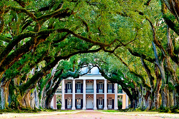 615x410 Top 10 New Orleans Plantation Tours - Oak Alley Painting