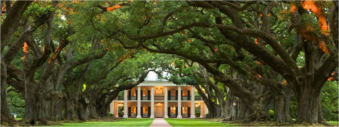 1186x445 Heather Graham's Blog 30 Days Of Why I Love New Orleans - Oak Alley Painting