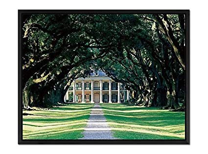 425x315 Oak Alley Plantation - Oak Alley Plantation Painting