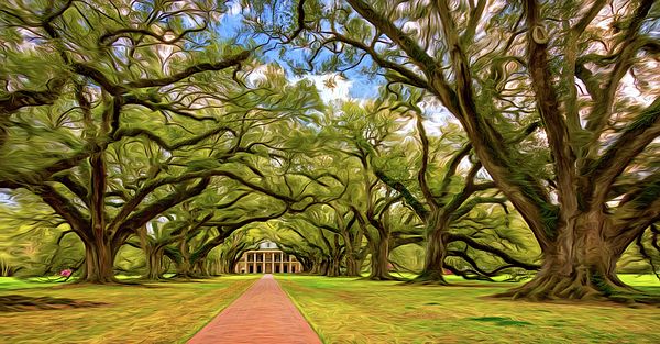 600x313 Oak Alley 5 - Oak Alley Plantation Painting