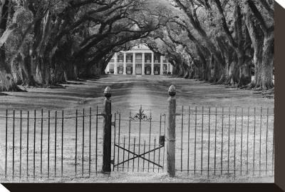 400x269 Oak Alley Plantation, Louisiana Stretched Canvas Print - Oak Alley Plantation Painting