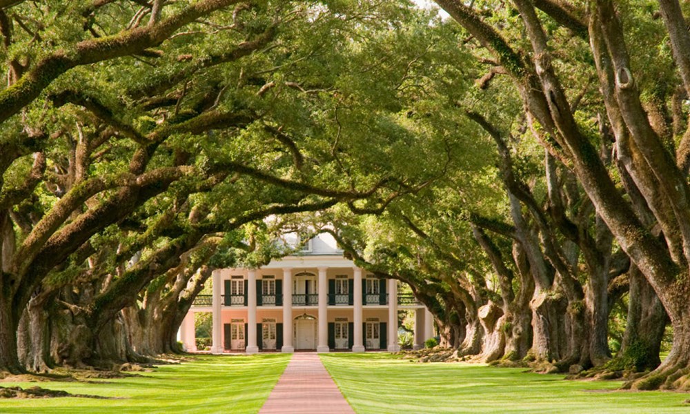 Oak Alley Plantation Painting at PaintingValley.com | Explore ...