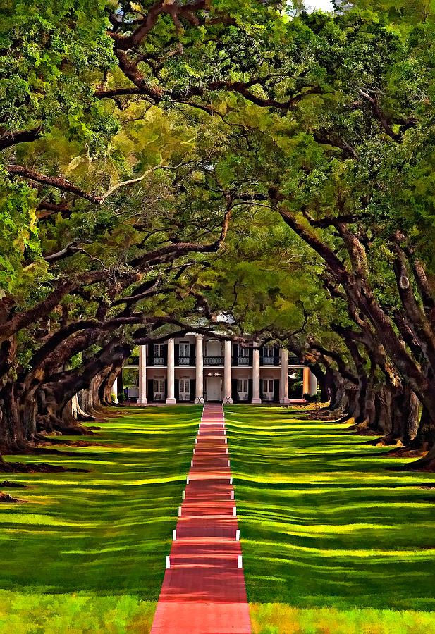 617x900 Oak Alley Plantation Louisiana. I Love The Stately Grandeur - Oak Alley Plantation Painting