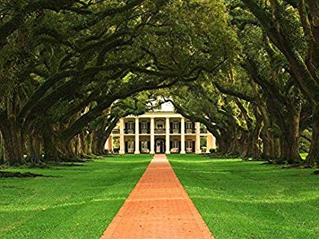 463x347 Vacherie Oak Alley Plantation Louisiana Oil Painting - Oak Alley Plantation Painting