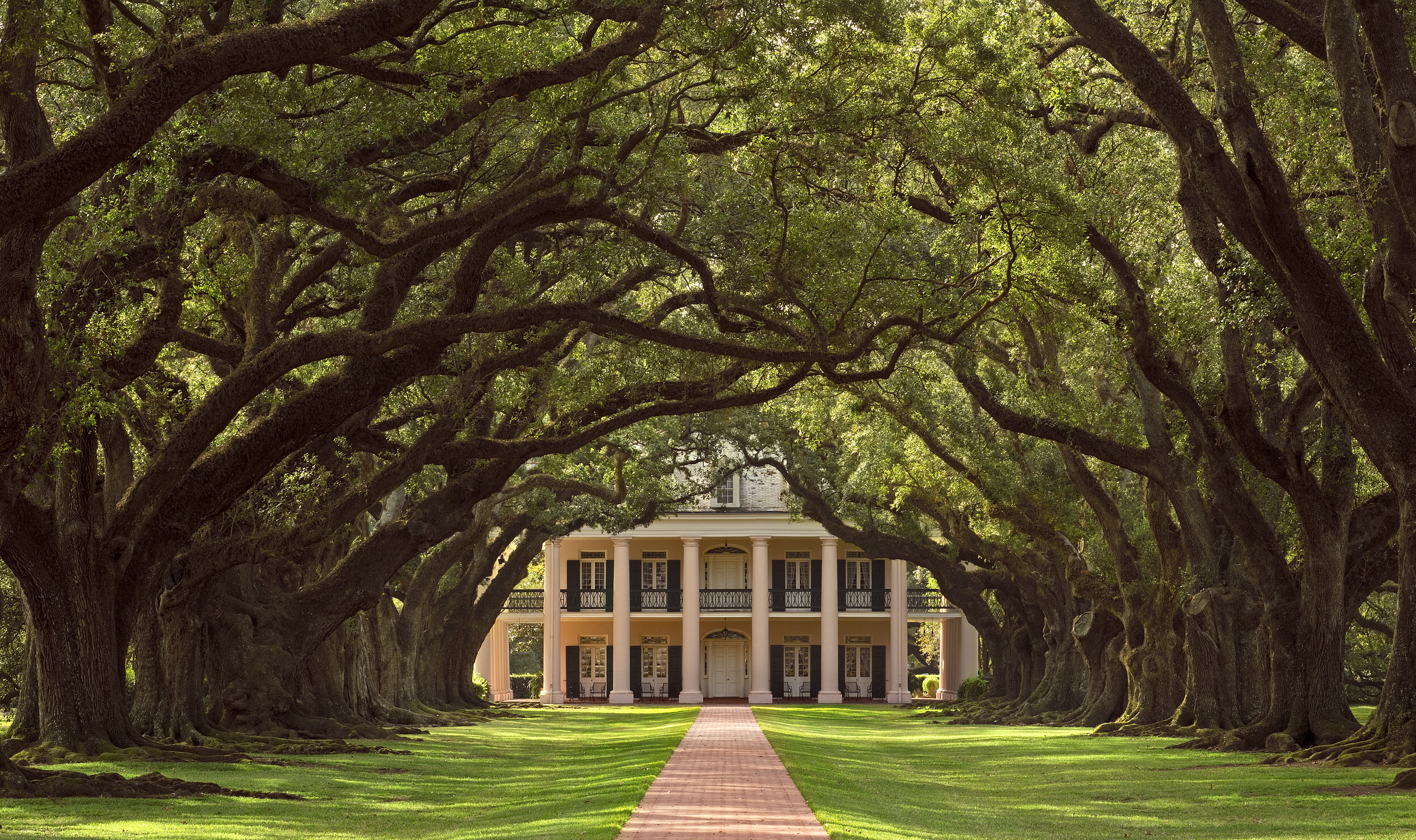 4044x2400 Oak Alley Plantation Restaurant Amp Inn - Oak Alley Plantation Painting