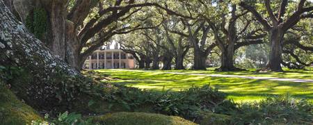 450x180 Stunning Southern Plantation Artwork For Sale On Fine Art Prints - Oak Alley Plantation Painting