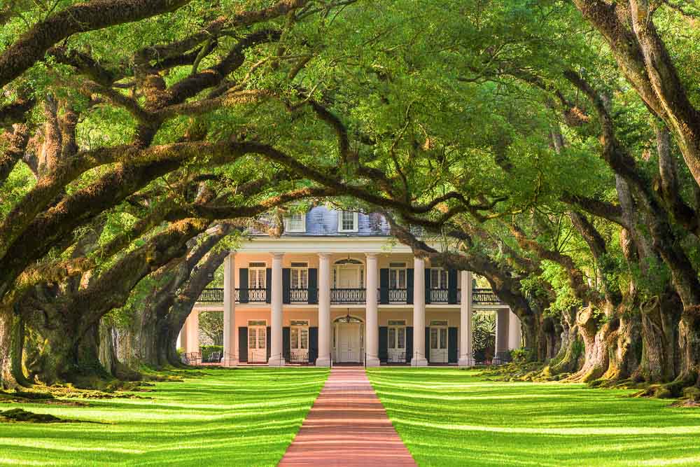 1000x667 Louisiana's Coolest And Kookiest Plantations - Oak Alley Plantation Painting