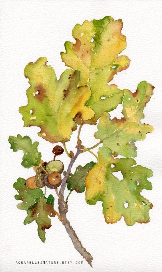 Oak Leaf Painting at Explore collection of Oak