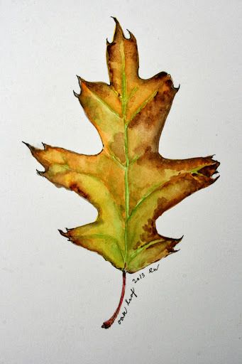 341x512 Watercolor Sketch Of Oak Leaf Doodles And Shapes - Oak Leaf Painting