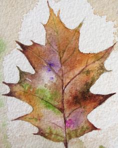 236x295 Autumn Oak Leaf On Black Botanica - Oak Leaf Painting