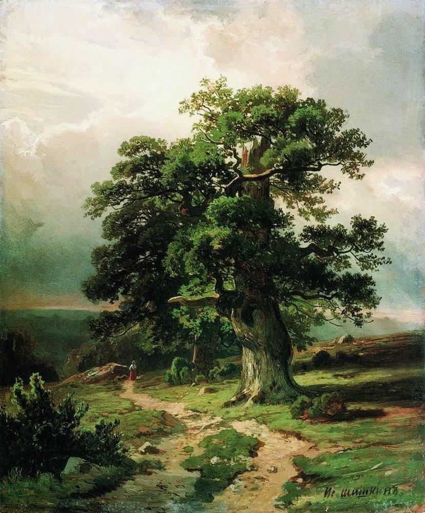 829x1000 Oak 1865 - Oak Painting