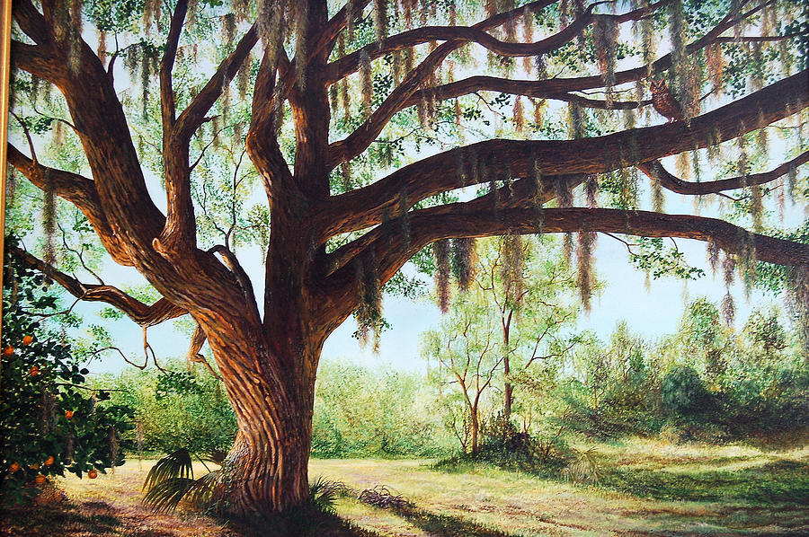 900x598 Wise Old Oak Painting By Annajo Vahle - Oak Painting